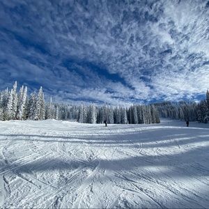 Meet your Posher, Maddie